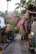14601_Luang Prabang